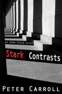Stark-Contrasts2