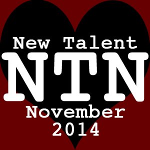 NTN 2014 logo courier 300